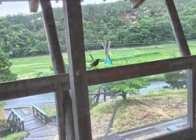 餌運び