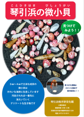 微小貝