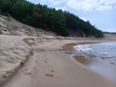 琴引浜