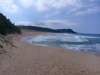 琴引浜